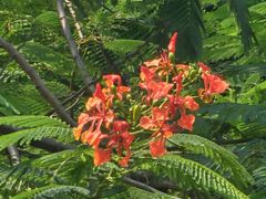 -AEON永旺(东方宝泰店)