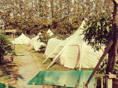 -前小桔亲子创意农场·草莓采摘·露营烧烤