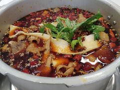 -晓彭肥肠鸡·泡椒鸡火锅(水木天地店)