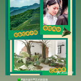 杭州｜端午出游🍃“画外端午”艺术与民俗碰撞