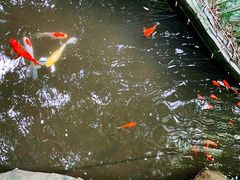 -竹吟山房