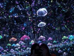 -深圳独角兽星空艺术馆