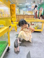点击看大图 -神奇动物撸宠馆·羊驼·小浣熊·异宠(豫园店)