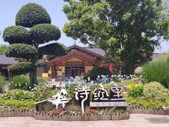 -诗经里