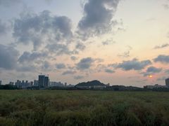 -光明小镇欢乐田园