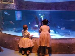 -沈阳海洋探索中心