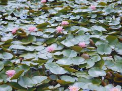 -尚贤河湿地