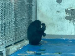 -合肥野生动物园
