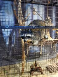 -酷嗒动物文化乐园(cutezoo西溪乐天城店)