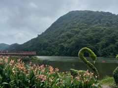 -广州市石门国家森林公园
