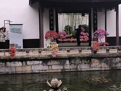 -上海醉白池公园