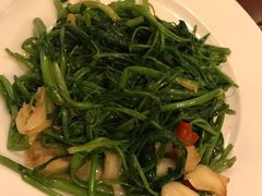 -吕小姐咖啡