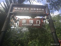-呀诺达热带雨林