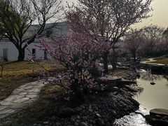 -石家庄市植物园