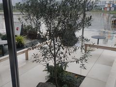 -喜茶(珠海华发商都店)