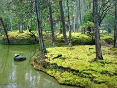 -西芳寺(苔寺)