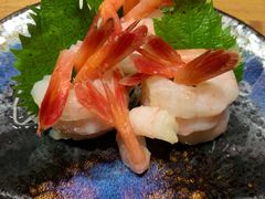 -鲤·鮨KOISUSHI