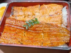 双色鳗鱼盒饭-玄白·炭烤活鳗(上海首店)