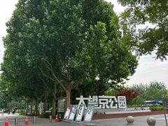 -大望京公园