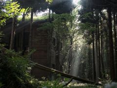 -武陵山森林公园