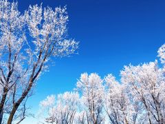 -中旅松花湖滑雪场