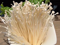 -额尔敦·品质自助(摩尔城店)