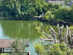 -东莞市可园博物馆