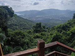 -三亚亚龙湾人间天堂鸟巢度假村
