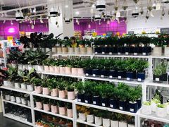 -KKV(重庆东原悦荟主力店)