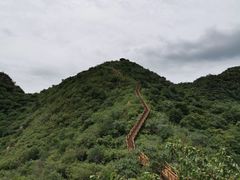 -大岭沟猕猴桃谷风景区