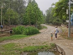 -白水寺森林公园