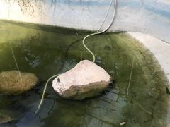 -南通洲际绿博园