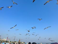 -星海广场