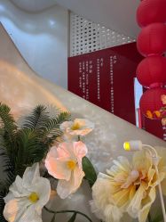 -阅年轻·AI家庭健康体质调理