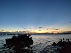 -宝安西湾红树林湿地公园