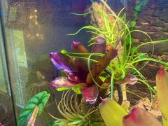 -Rabbit Cafe私房西餐甜点咖啡(栖霞路店)