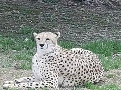 -杭州野生动物世界