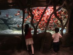 -绍兴梦享海洋公园