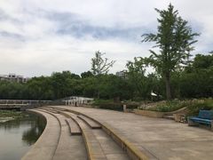 -新江湾城公园