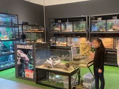 -FAIRYLAND龙族星球主题餐厅(凯丹广场店)