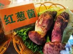 -易门野生菌府·菌海森林(月牙潭公园店)