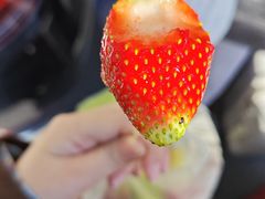 -老炳·七丛松甘草水果
