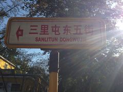 -三里屯东五街银杏大道