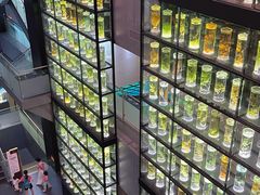 -广东中医药博物馆