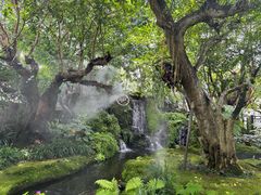 -Chom Cafe and Restaurant