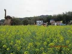 -红山村