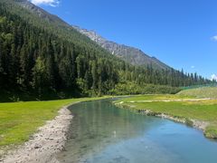 -金鼎雪山牦牛杂火锅(理县总店)