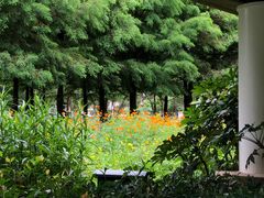 -昆山城市生态森林公园