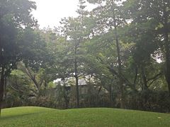 -晓港公园