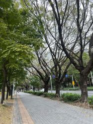 -深圳艺星医疗美容医院